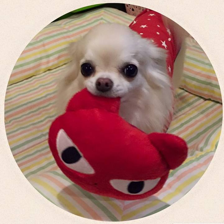 167374b2 ac05 4f13 b554 8893c459e9a0