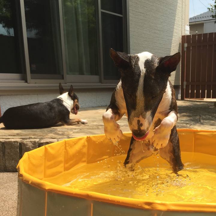 1673cf0b d266 4ad3 ba82 82cdc1de572b