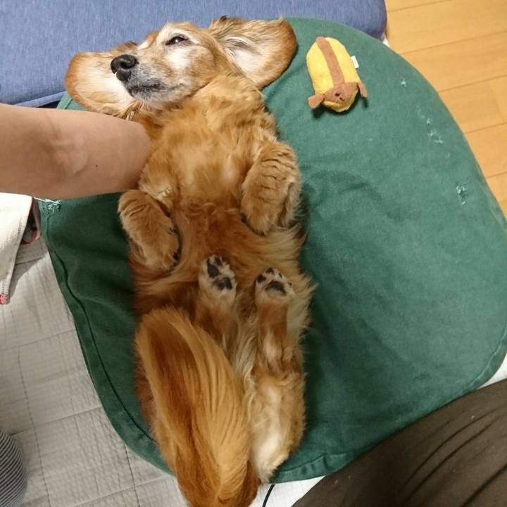 16744f62 4832 412a a33a 4ff3f4787163