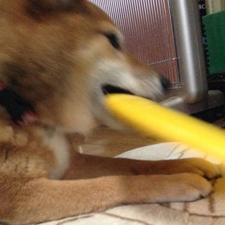 1674d011 7aa5 43a5 81e9 1dbc4107688d