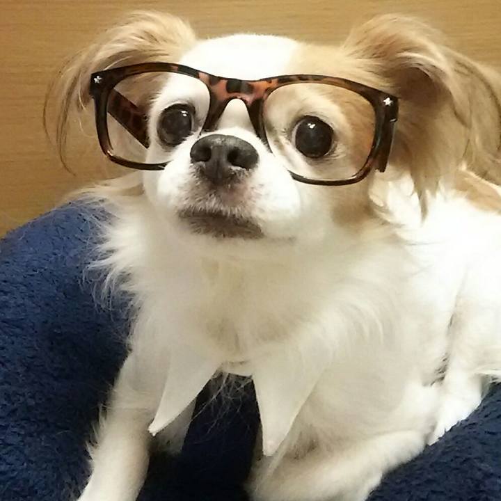 16750d38 40a3 46e3 9ccc 14a804049537