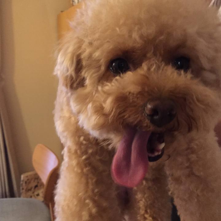 167519ef 8ec4 4ea1 b354 1bdc6bbc733f