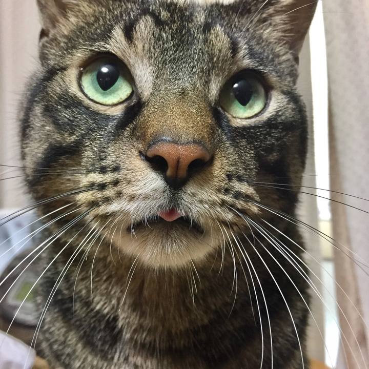 1675826d 6ff0 43ec 9ace f6926afc155c