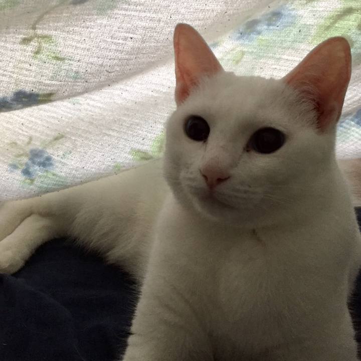 16766d73 2fae 4c52 87b3 cc977e468ccc