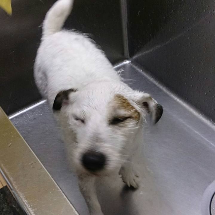 1676eb13 046a 4f8d a5e8 b31a5a5eaeac