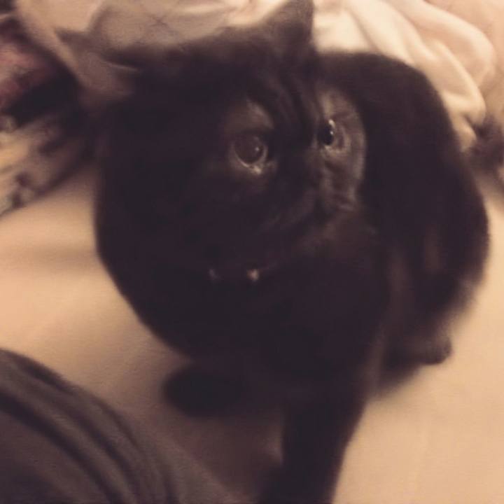 1677071d fbc7 4be4 83d2 1e5ecebe4e7e