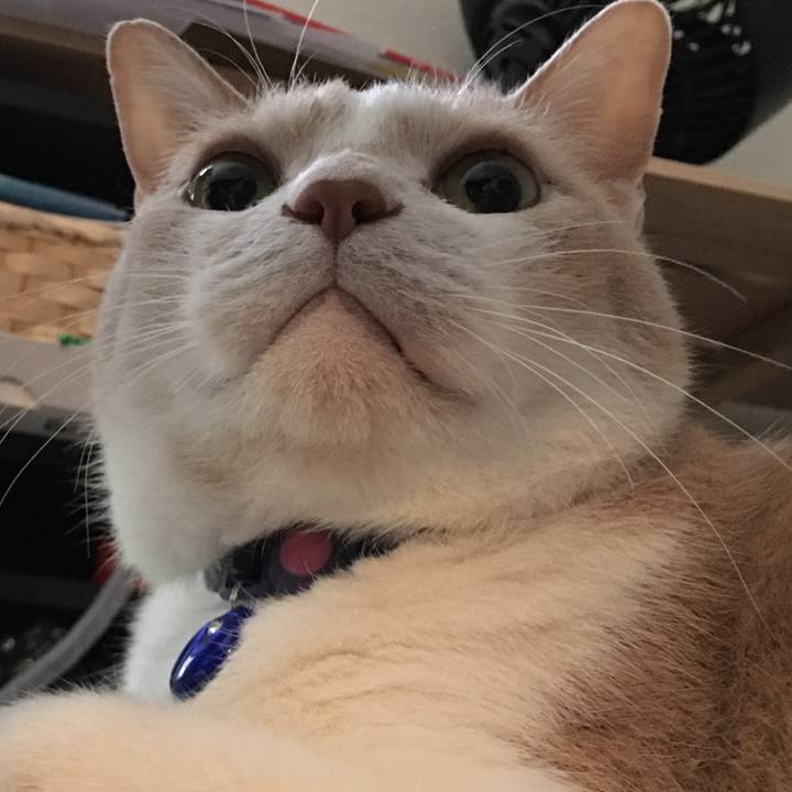 1677176a f940 419d bb55 b0a7bbe9f0da