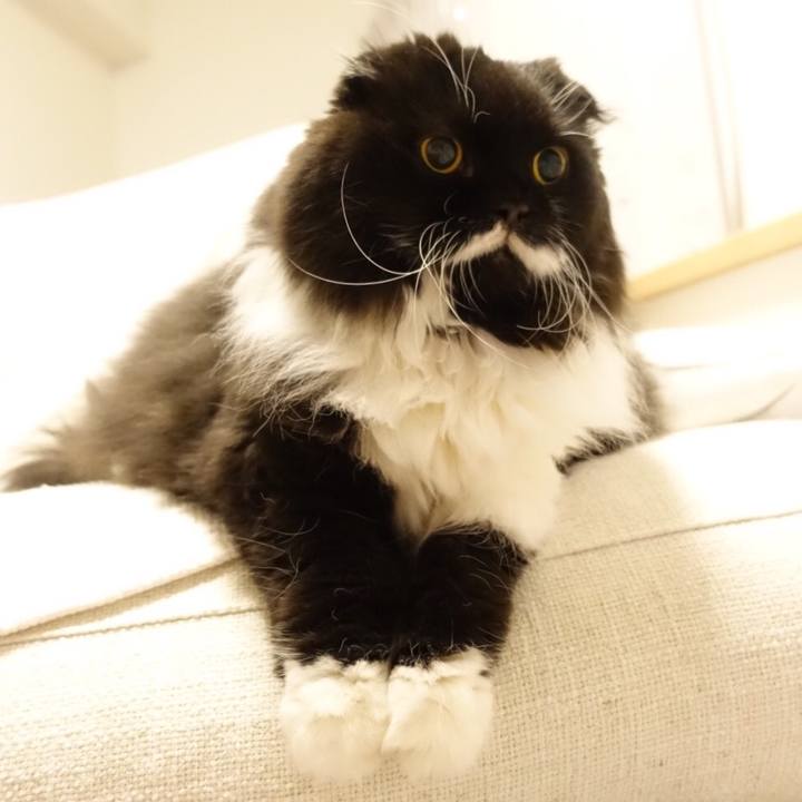 16774b95 9112 4709 b473 de191bccb8c9