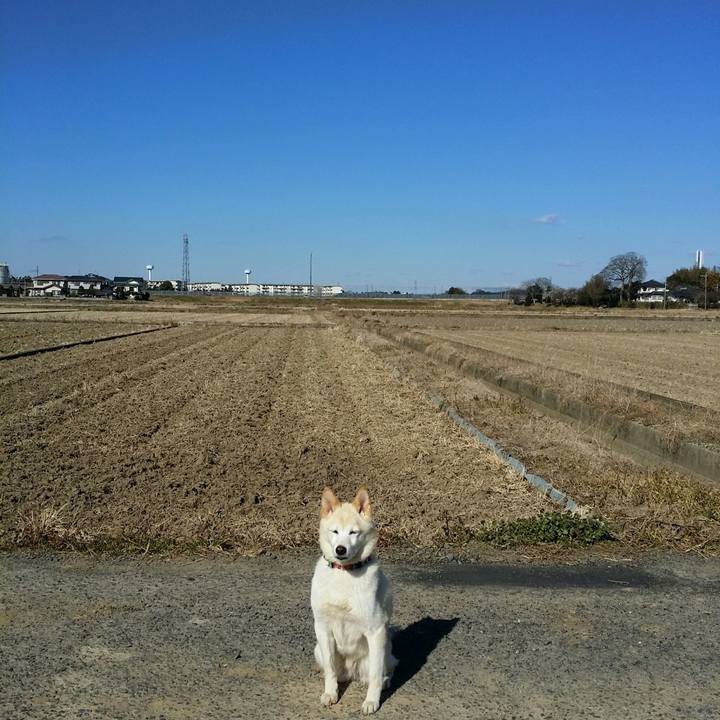 16784809 b09f 4f97 94d8 0786542208f3