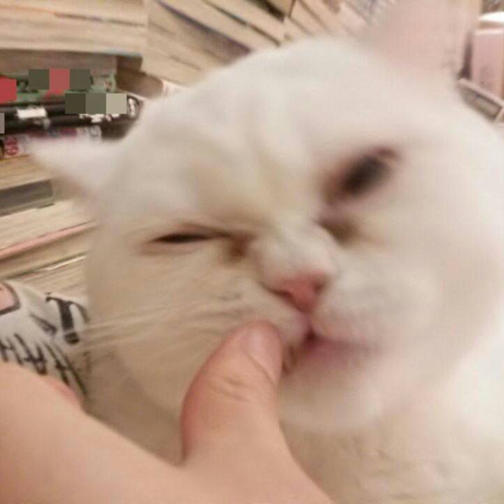 16791d5b 76d0 43e4 8c90 3735a612516d