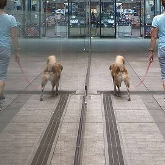 16792bf2 837c 48bf 86b0 ed25d346441c