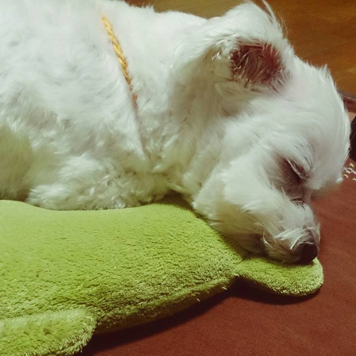 16797fc7 0e48 43a4 9068 e19dbf2d7be5