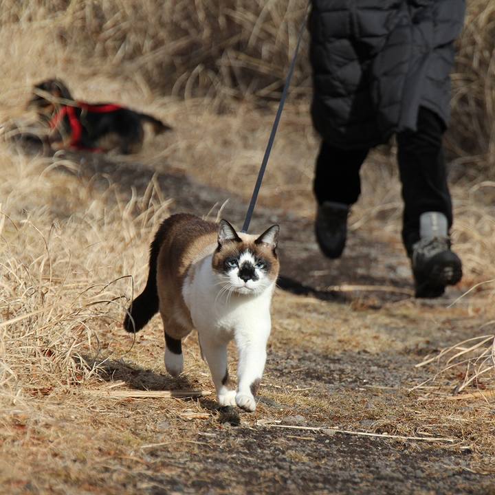 1679cdee 2531 4824 8ceb 1549af221635