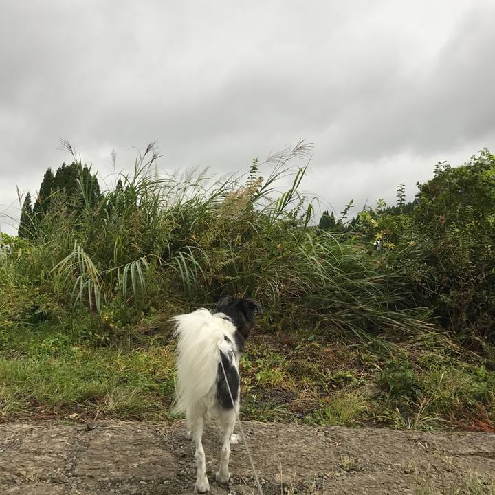 167a0542 9f8c 48f0 bad9 23318dc2bbf8