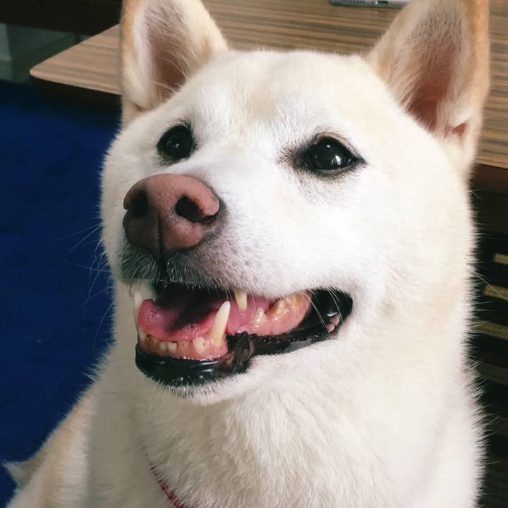 167a3c8e 1a91 4fbb b367 0ff482d7d9df