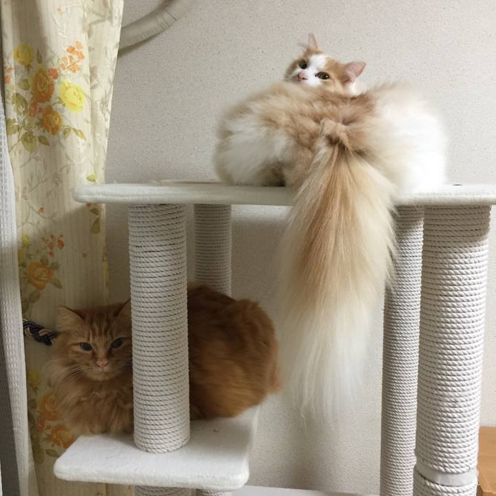 167a9cfc c510 456e b44c e86d0c867349