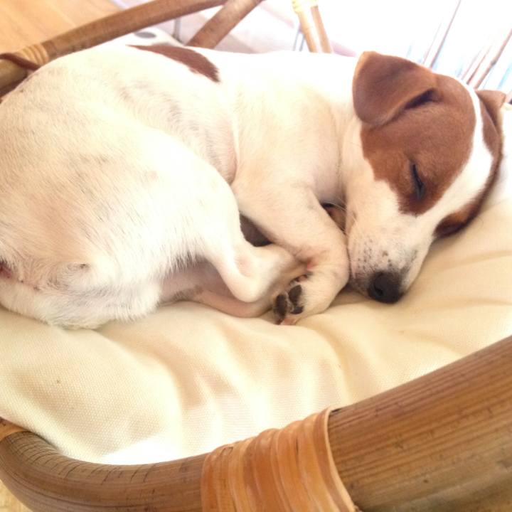 167afcdc a3fe 4183 a488 3e61444114e0