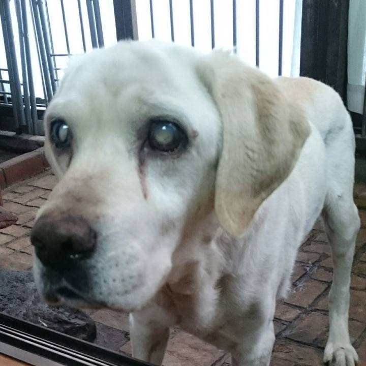 167b44de 81c4 4c88 bd96 903df9a7c5dc