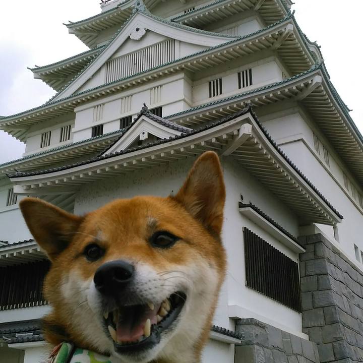 167b9599 8373 4a1f 91b5 afbeb124e7cc