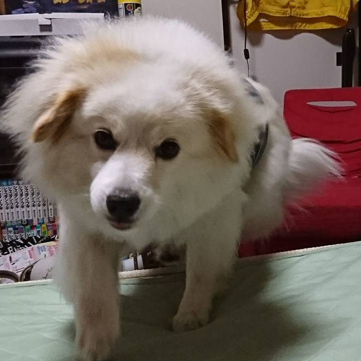 167c4e0a c444 4ecb beed 91b647421c1c