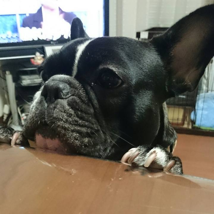 167c93a3 40a1 4efa 9698 5046dec713aa