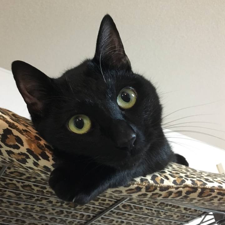 167ce66c 0793 481d a8a6 2fe0cd35e2a1