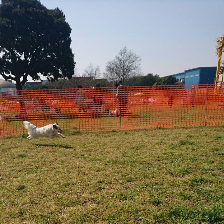 167dd551 88d3 4558 9292 36c9cc431eae