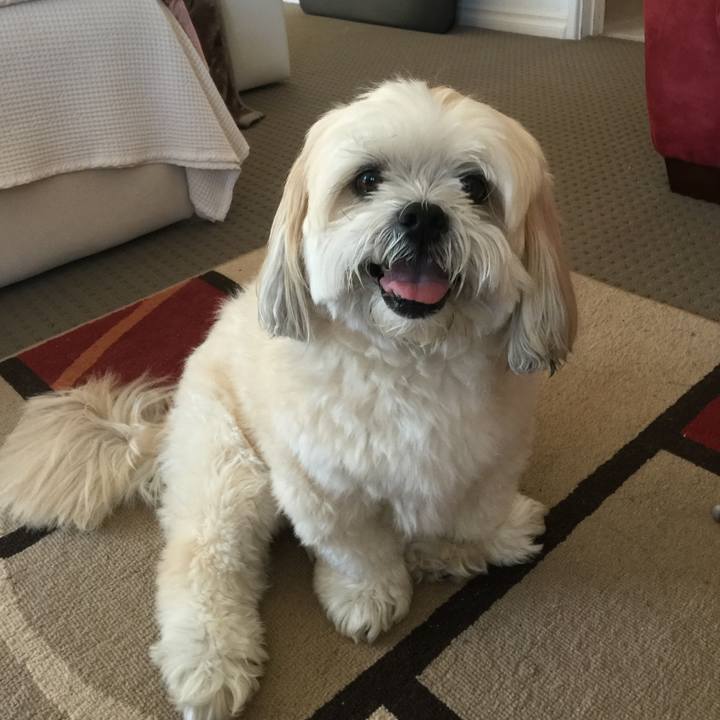 167e2424 328d 4891 a53d 42e6ef3cd0e1