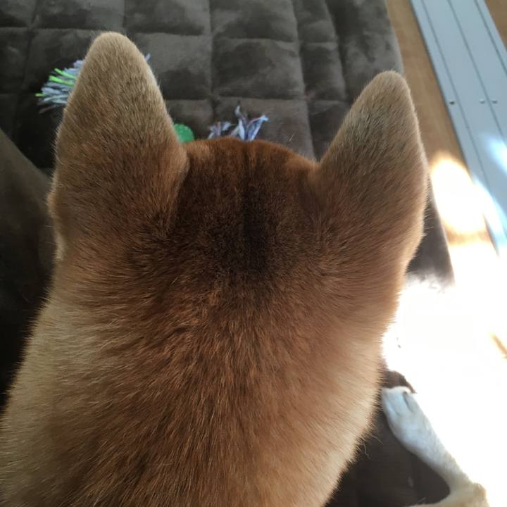 167eb8f4 01d6 49ff b581 d411349a9ab1