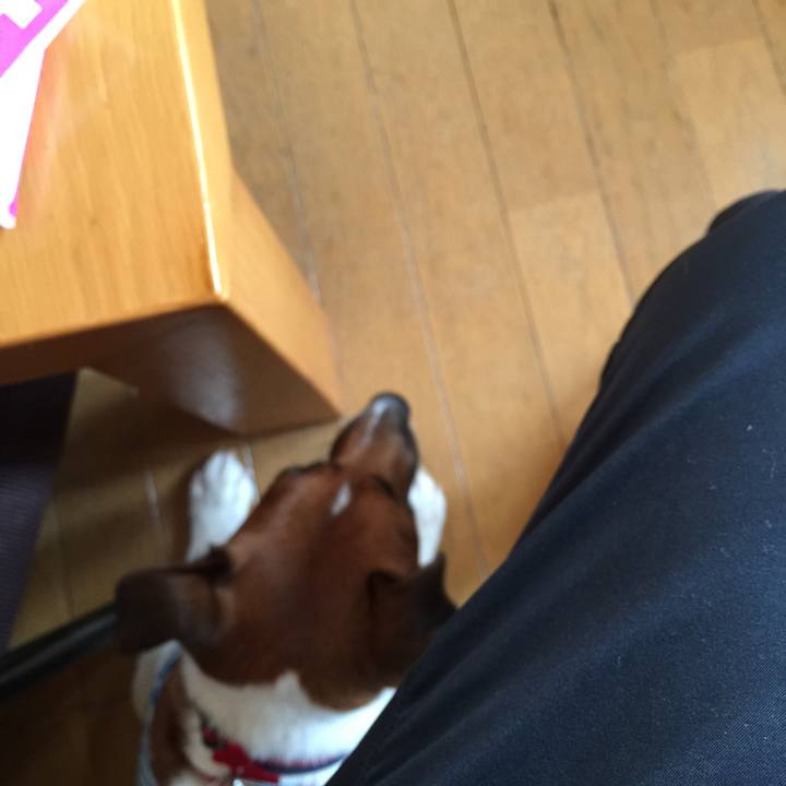 167eebc0 6e9e 4d3b 9108 e87819f0bfbe