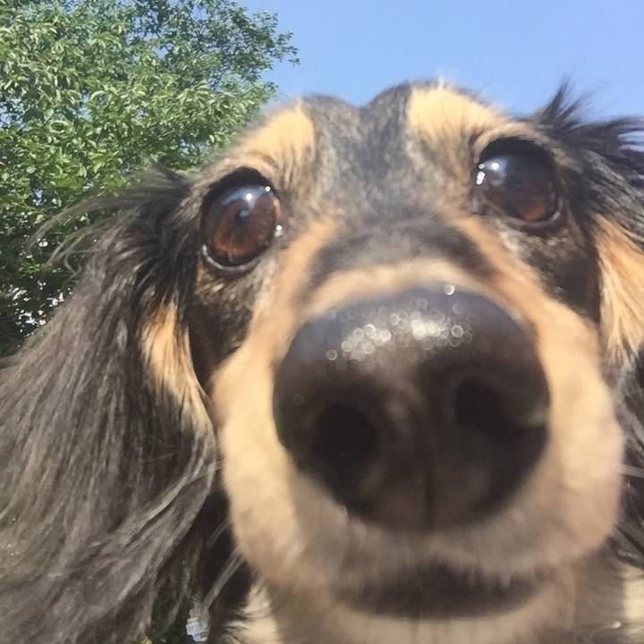 167fb064 3f7f 4b0f 9381 c4b12c6b59ba