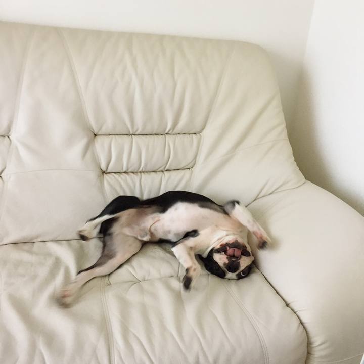 168012d5 ad81 43eb a432 db610f86b991