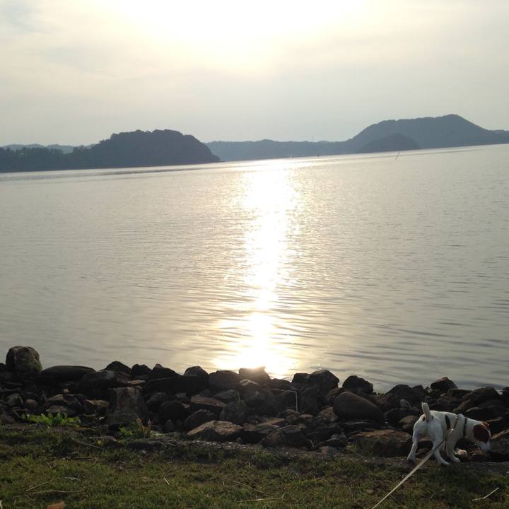 16802254 3d6a 44fb abcd 1e767f70f565