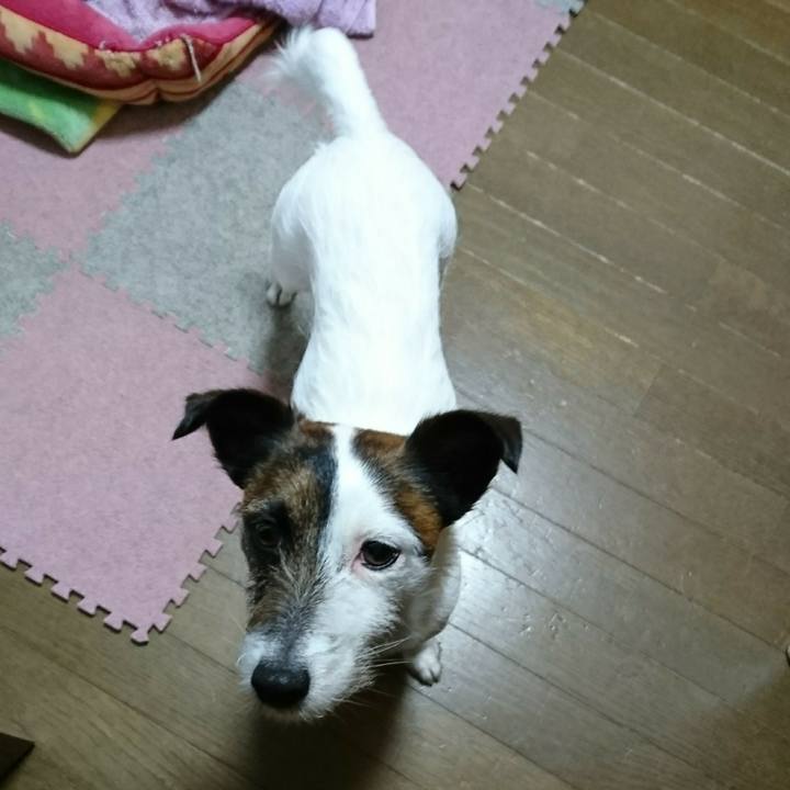 16808d9c e43e 44b8 97b9 ba8187b69f2f