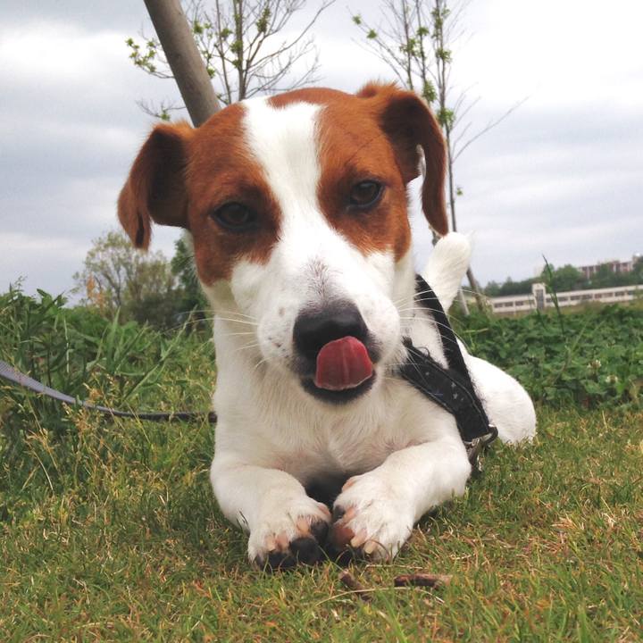 1680fc12 8557 415a b0fb df50d1aa622f