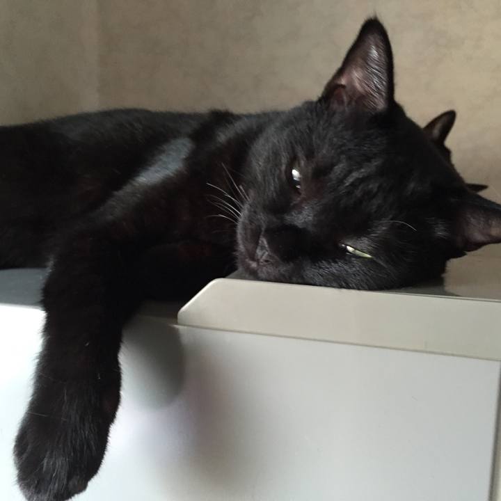 16816d75 329b 4557 b611 197c1a9afb9e