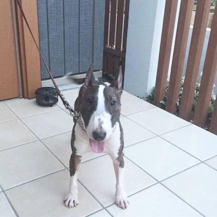 16819132 0738 40ff bf50 f414f2b9c822