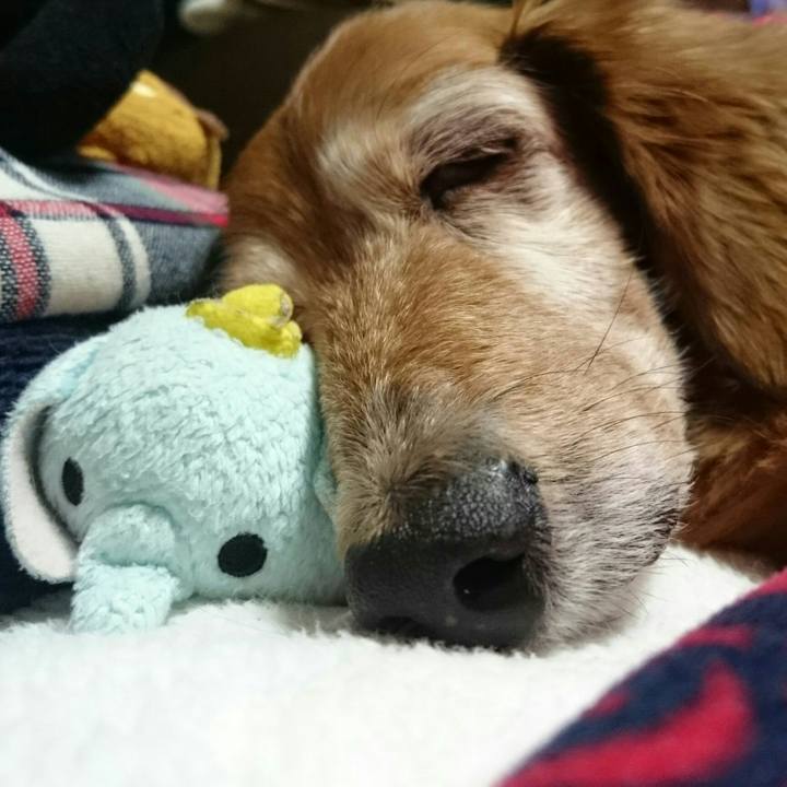 1681a9cc aaab 4115 849c 20ed23299d75