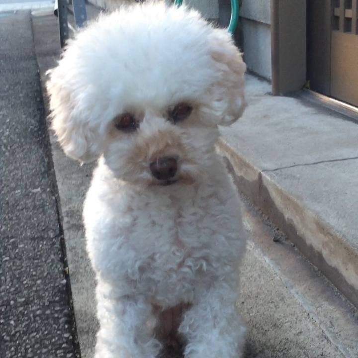 1681b186 c8a9 4af9 a03a c52202b15c60