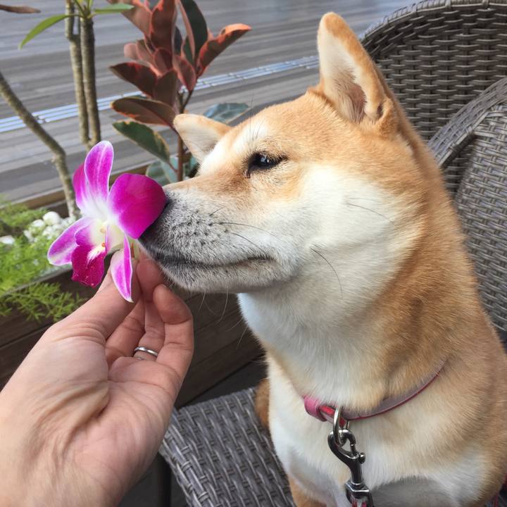 1681e3b2 413e 4280 a1cb e9cd255c1ff1