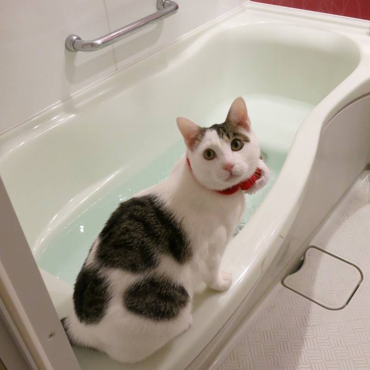 1681e5a2 fca0 45d5 b454 6508ee5a9e7b