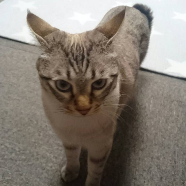 168251b1 803c 4a8d 89a3 6561208a6bfe