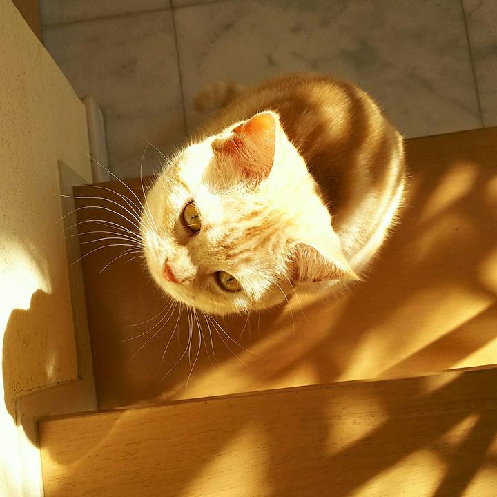 168269a9 fb44 4b7f bb80 7d6fee73c954