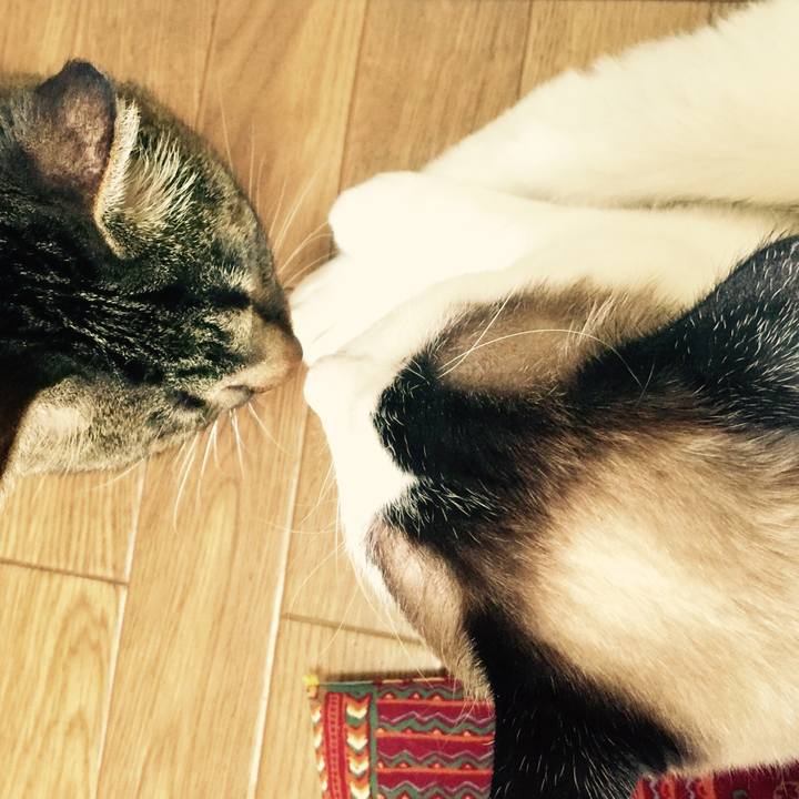 1682739c 3d7c 4786 80be 3bee4b55a584