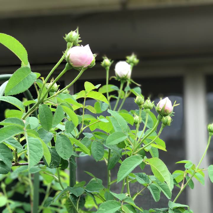 1682902b e031 449c 9bee 06afdd901f08