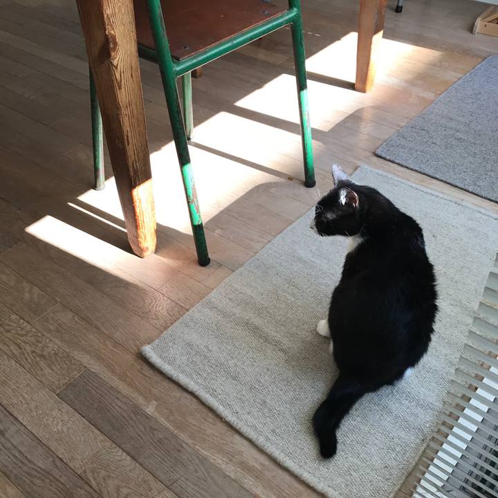 168322ce 9ea3 4952 b420 a147a461299e