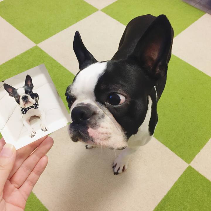 16835360 fcaf 4556 a031 89b5c986abb9