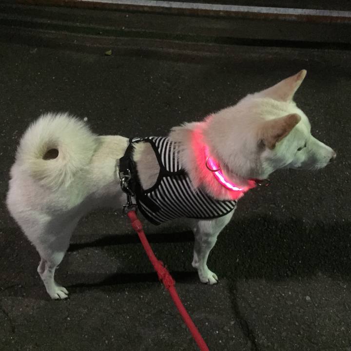 1683dcbe 641b 4578 b67b 492729383113