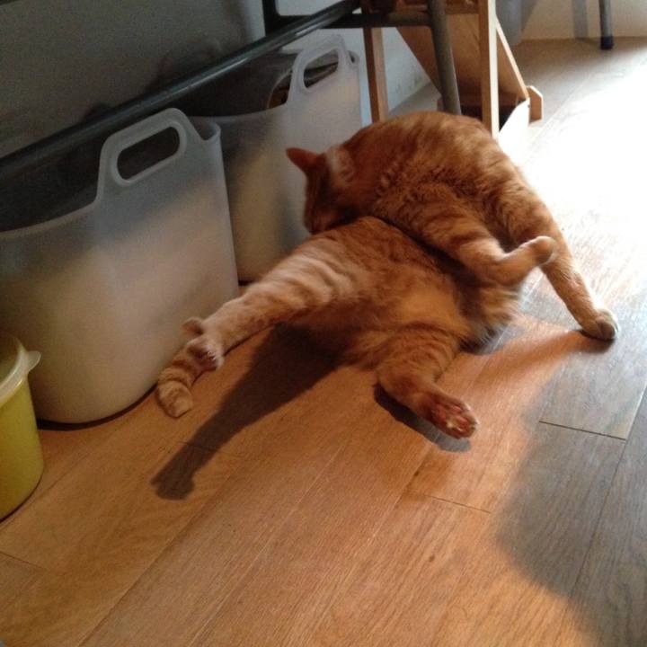 1684ba23 3352 4232 bdca 6eace88c398c