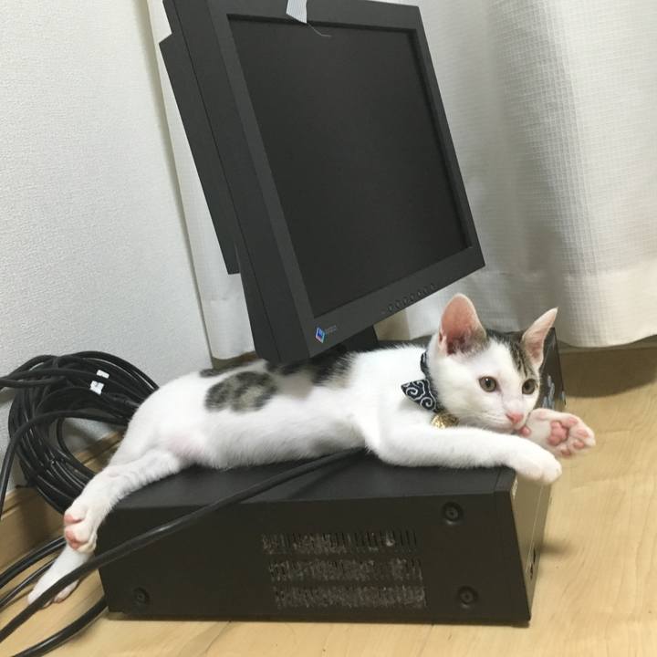 1685dfa9 06ea 4d80 9626 dd1091911635